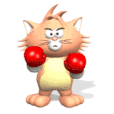 chat (97)