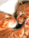 chat (99)