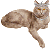 chat10 (14)