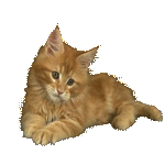 chat10 (4)