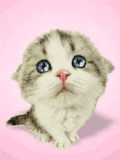 chats (13)