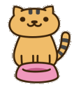 chats1-(20)