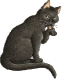 chats4 (12)