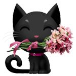 chats4 (15)