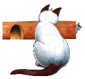 chats4 (7)