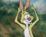 rabbit