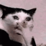 cat-crying-cat (1)