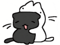 cat-couple-cartoon-cute-cartoon-cat-cute
