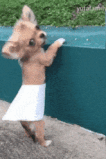 cute-funny