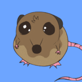 ratencio-nivoraanimation