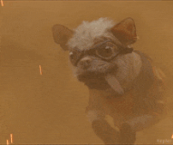 dogpool-deadpool-and-wolverine (2)