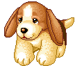 chien (124)