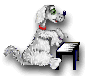 chien (68)