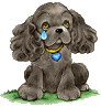 chien (91)