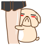 chien (93)