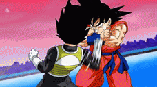dragonball (10)