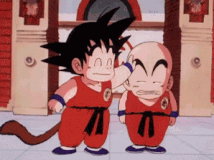 dragonball (11)