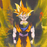 dragonball (23)