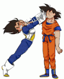 dragonball (26)