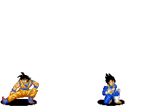 dragonball (31)