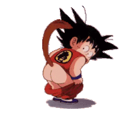 dragonball (35)