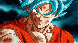 dragonball (4)