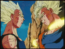 dragonball (6)