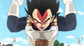 dragonball (9)