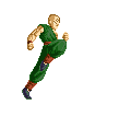 dragonball (103)