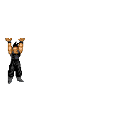 dragonball (84)