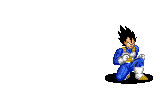 dragonball (85)