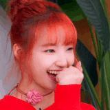 unis-yunha