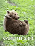 bear-fanny