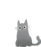 cat-fart