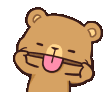 poo-brown-bear