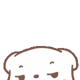 tkthao219-bear (2)