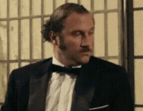 ah-francois-damiens