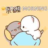 peach-goma-mochi-cat