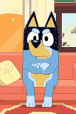 bluey-bandit