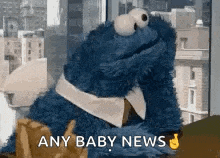 sesame-street-cookie-monster