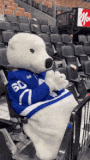 toronto-maple-leafs-carlton-the-bear