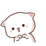 cute-cat