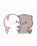 peach-cat-pig