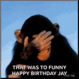 laughing-lol (1)