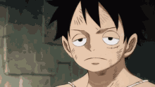 luffy