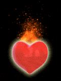 coeur (204)