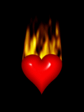 coeur (308)