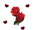 coeur (373)