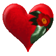 coeur3 (3)