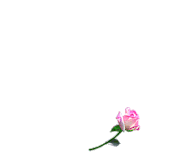 coeur3 (50)